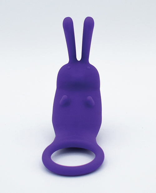 Like A Kitten Cock Ring & Bullet Vibrator — Purple