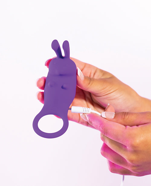 Natalie's Toy Box The Cock Hopper Cock Ring & Bullet Vibrator - Purple