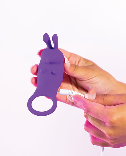 Like A Kitten Cock Ring & Bullet Vibrator — Purple